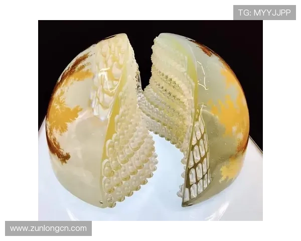 尊龙人生就是搏z6：探索游戏中的策略与人生哲理的完美结合