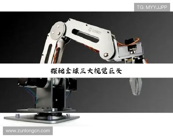 尊龙凯时集团网址安全可靠的登录入口指南保障您的账号安全